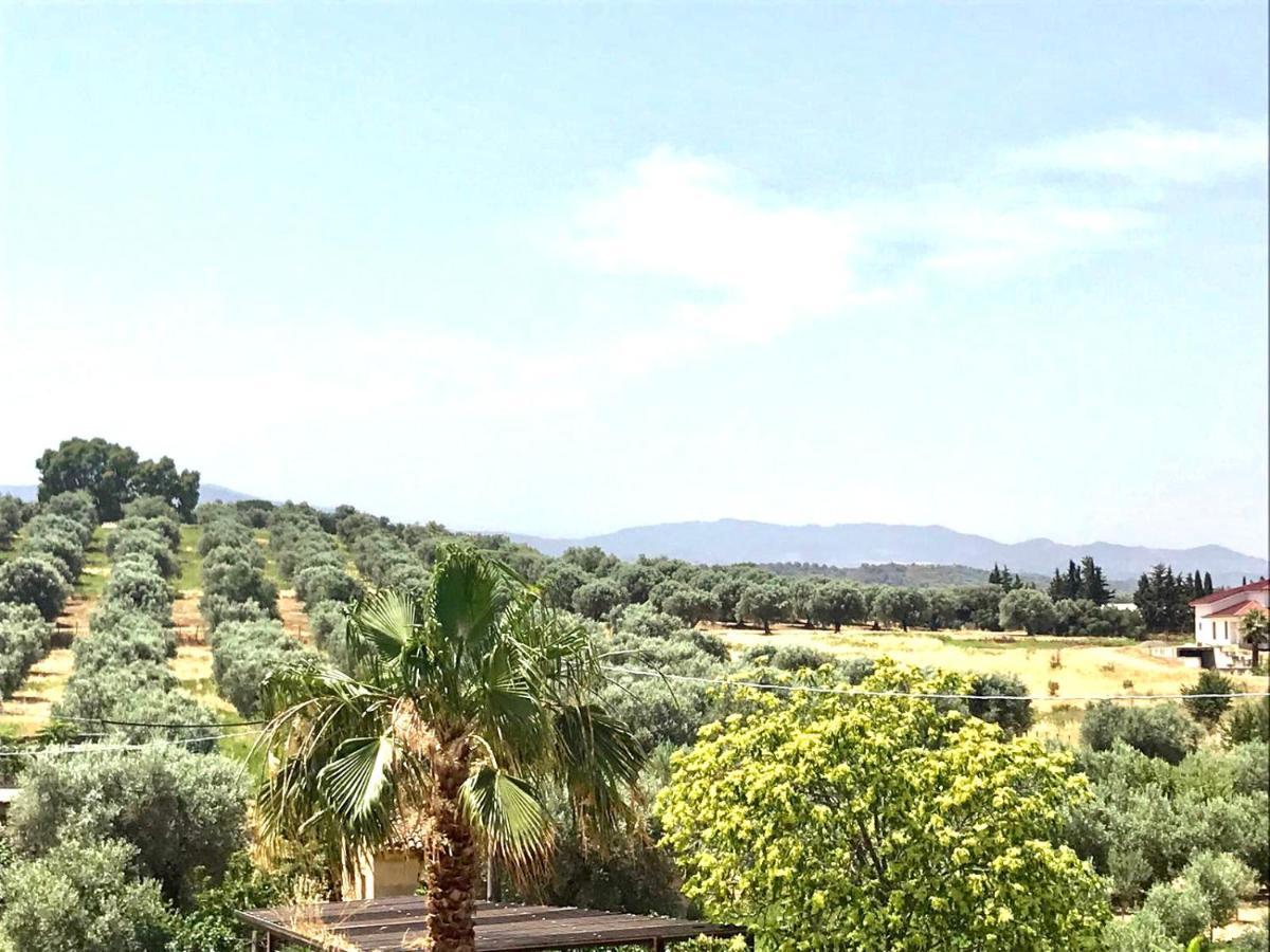 Casa Vacanze E Fitta Camere San Nico Кориляно Калабро Екстериор снимка